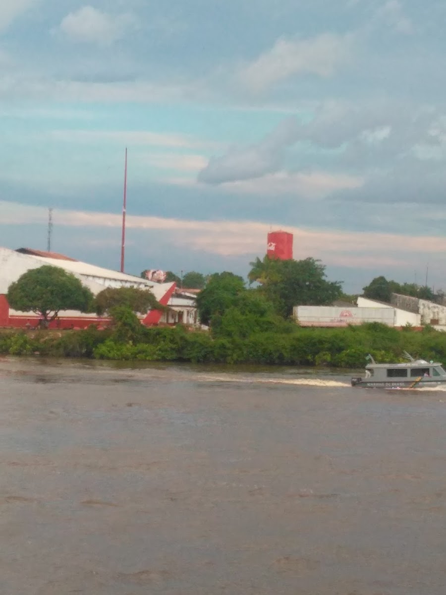 Parintins de Onibus: Ecoturismo e Folclore no Coração da Amazônia